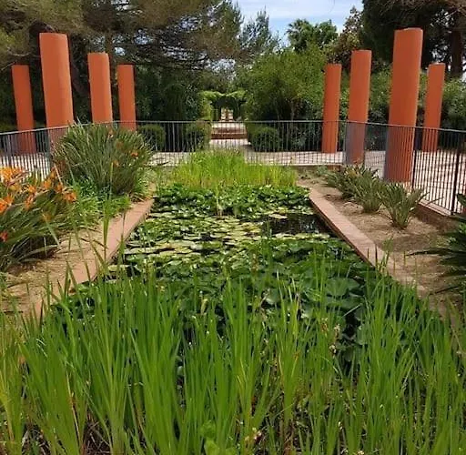 Terrasse Piscine Et Acces *